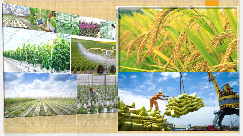 Nông nghiệp, nông dân, nông thôn phải tăng tốc, bứt phá trong năm 2025