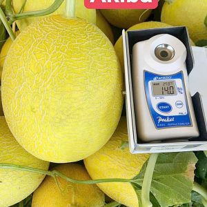 Hạt giống dưa lưới Akiba