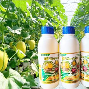 Phân Bón Vi Lượng Gf Bortrac